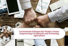 poultry farm government scheme