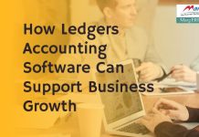 Ledger Accounting Software